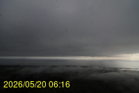 Img20260520_061637.jpg