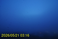 Img20260521_031640.jpg