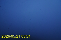 Img20260521_033140.jpg