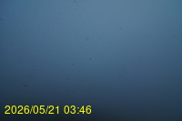 Img20260521_034640.jpg