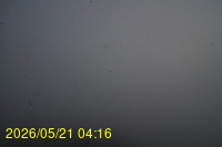 Img20260521_041640.jpg