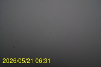 Img20260521_063141.jpg