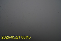 Img20260521_064641.jpg