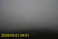 Img20260521_090141.jpg