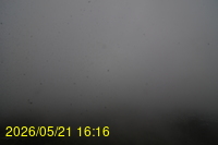 Img20260521_161642.jpg