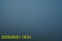 Img20260521_190143.jpg