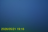 Img20260521_191643.jpg