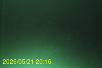 Img20260521_201643.jpg