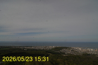 Img20260523_153149.jpg