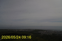 Img20260524_091651.jpg
