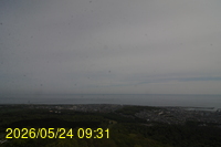 Img20260524_093151.jpg
