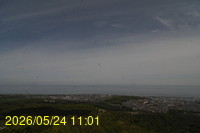 Img20260524_110151.jpg