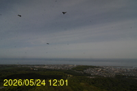 Img20260524_120152.jpg