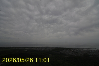 Img20260526_110158.jpg