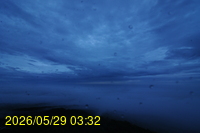 Img20260529_033206.jpg