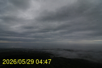 Img20260529_044706.jpg