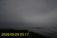 Img20260529_051706.jpg