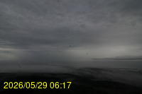 Img20260529_061706.jpg