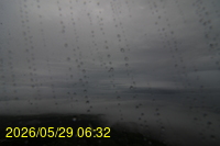 Img20260529_063206.jpg