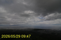 Img20260529_094707.jpg