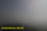 Img20260604_080225.jpg