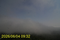 Img20260604_093225.jpg