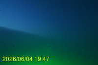 Img20260604_194727.jpg