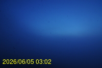 Img20260605_030228.jpg