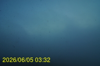 Img20260605_033228.jpg