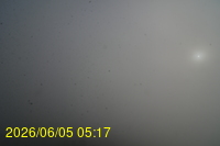 Img20260605_051728.jpg
