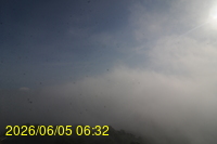 Img20260605_063228.jpg