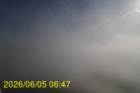 Img20260605_064728.jpg