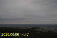 Img20260606_144732.jpg