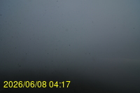 Img20260608_041738.jpg