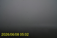 Img20260608_050238.jpg