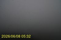 Img20260608_053238.jpg