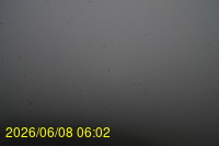 Img20260608_060238.jpg