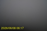 Img20260608_061738.jpg