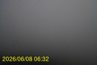 Img20260608_063238.jpg