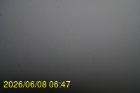 Img20260608_064738.jpg