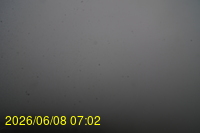 Img20260608_070238.jpg