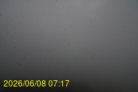 Img20260608_071738.jpg