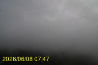 Img20260608_074738.jpg