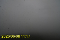 Img20260608_111738.jpg