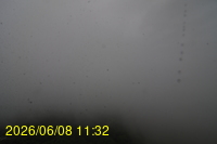 Img20260608_113239.jpg