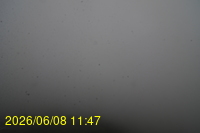 Img20260608_114739.jpg