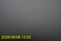 Img20260608_120239.jpg
