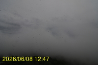 Img20260608_124739.jpg