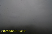 Img20260608_130239.jpg