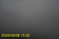 Img20260608_153239.jpg
